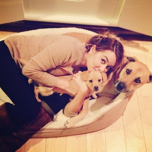 Lauren Conrad snuggled up with her pups.
Source: Instagram user laurenconrad
Lauren Conrad snuggled up with her pups.
Source: Instagram user laurenconrad