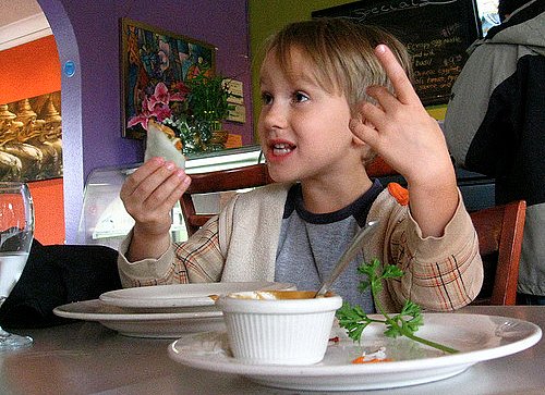 What to Do If Your Toddler Is a Picky Eater What to Do If Your Toddler Is a Picky Eater