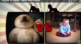 "Puppies vs. Babies": The Battle for Cuteness Moves to TV (VIDEO)