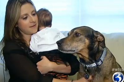 Dog Helps Save Nine-Week-Old Baby (VIDEO)