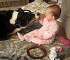 Dog is Baby's Best Friend (VIDEO)
