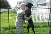 Soldier Reunited with Emotional Dog (VIDEO)