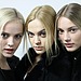 Fall 2010