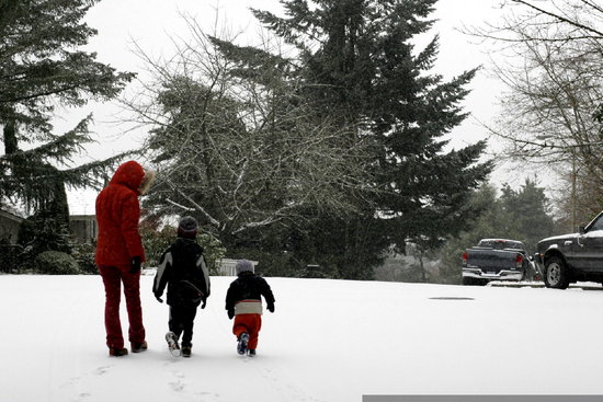 Winter Wonderland