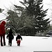 Winter Wonderland