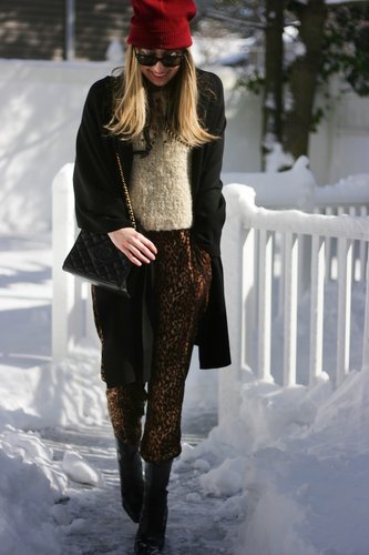 snow leopard