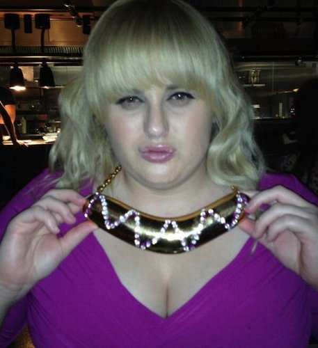 Rebel Wilson showed off an awesome new accessory.
Source: Twitter user RebelWilson
Rebel Wilson showed off an awesome new accessory.
Source: Twitter user RebelWilson