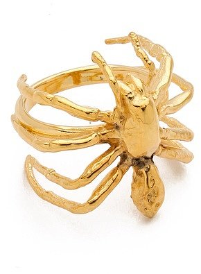 Tom binns Spider Ring