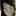 Camila Fonseca's picture