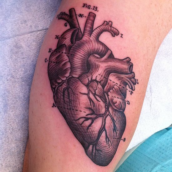 We heart this anatomical diagram by LA Ink's Kim Saigh, who completed this piece coincidentally on Valentine's Day.
Source: Instagram user kimsaigh
We heart this anatomical diagram by LA Ink's Kim Saigh, who completed this piece coincidentally on Valentine's Day.
Source: Instagram user kimsaigh