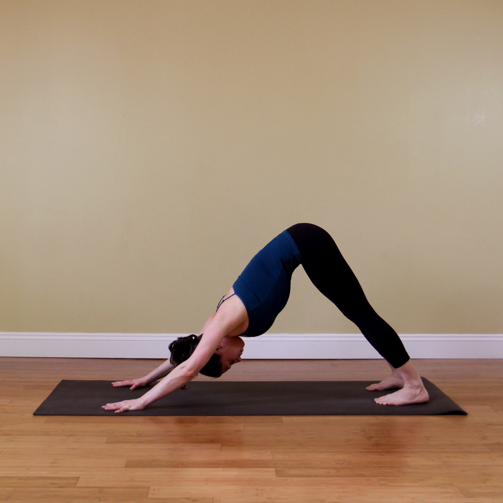 Downward Facing Dog Downward Facing Dog