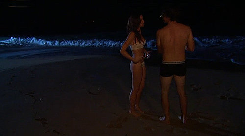 The Bachelor, Ben Flajnik