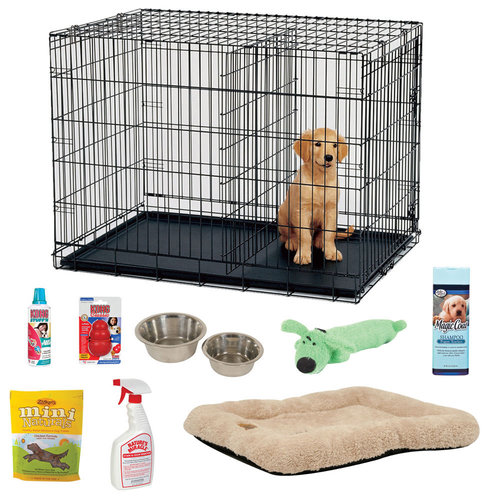 Perfect For Puppy Perfect For Puppy