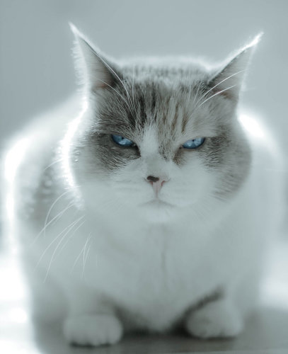 "I'm so disappointed in you."
Source: Flickr user red.dahlia
"I'm so disappointed in you."
Source: Flickr user red.dahlia