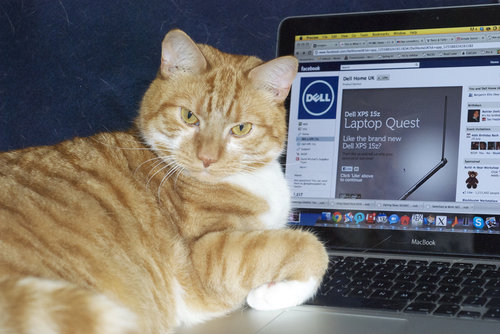 "Oh, you need to use your laptop? Now's not a good time."
Source: Flickr user mseckington
"Oh, you need to use your laptop? Now's not a good time."
Source: Flickr user mseckington
