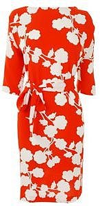 Diane Von Furstenberg Floral Print Maja Dress