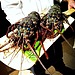 Lobster Dinner 