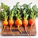 Rinse the Beets