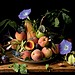 Peaches and Morning Glories