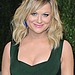 Amy Poehler