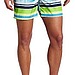 Diesel Men's Blans Medium Boxer Short Striped Trunk