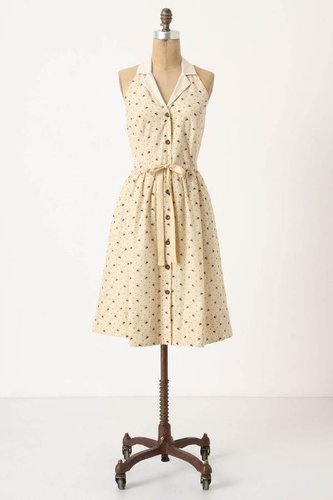 Honeyed Life Shirtdress