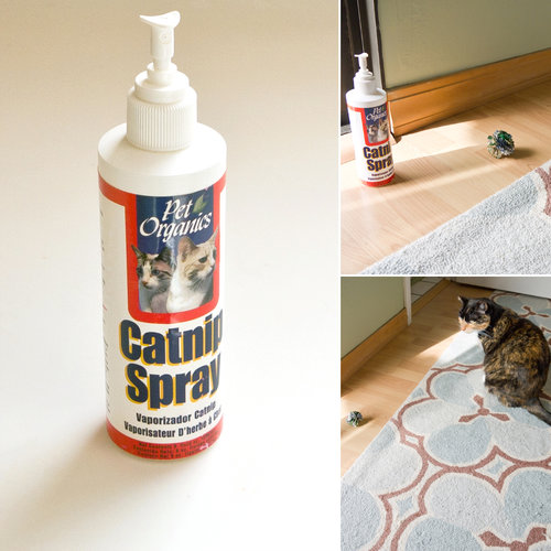 Pet Organics Catnip Spray Pet Organics Catnip Spray