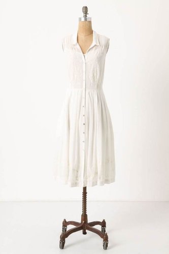 Spiraea Shirtdress, Petite