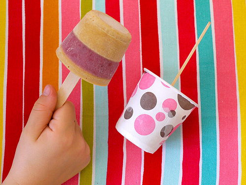 PB & J Pops PB & J Pops