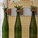 Hanging Vases 