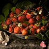Photography That Looks Like Old Master Paintings