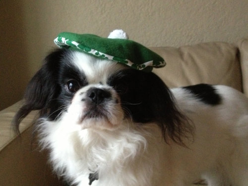 St. Patrick's Day Beret St. Patrick's Day Beret