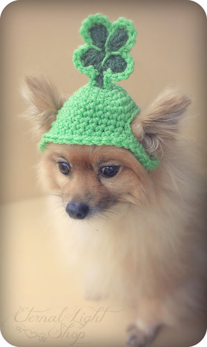 Supercute Beanie Supercute Beanie