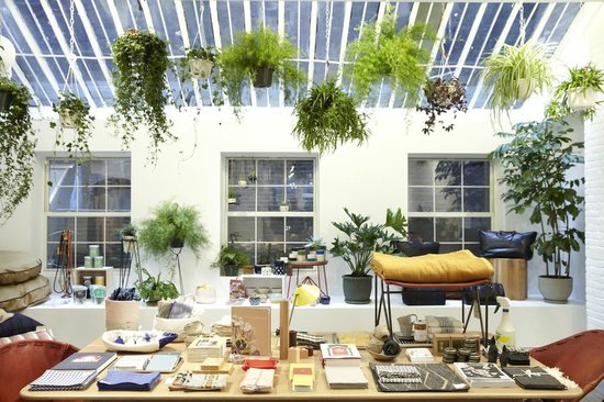 The roof is mostly glass, allowing for the store to be flooded with light. It also keeps the hanging plants happy.
The roof is mostly glass, allowing for the store to be flooded with light. It also keeps the hanging plants happy.