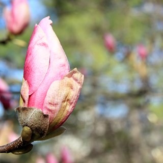 Frugal Ways to Enjoy Spring