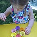 Bird Feeders