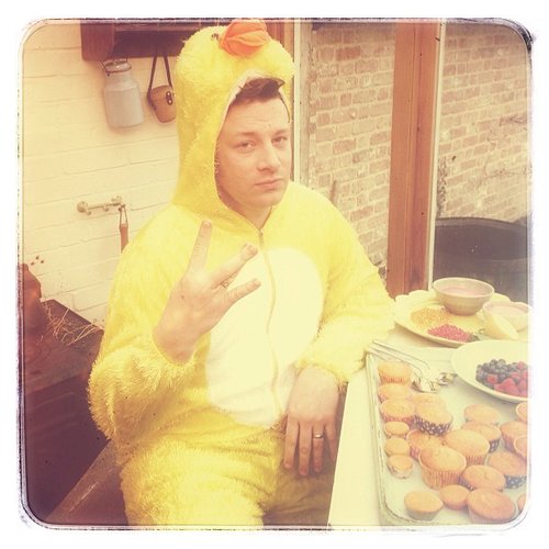 Chicken Suit Chicken Suit