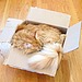Camouflaged Cat