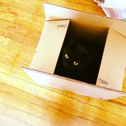 Mystery Inside Mystery Inside