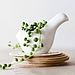 Birds of a Feather Terrarium