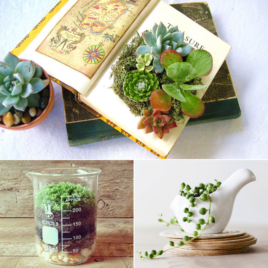 Cute Office Desk Plants and Planters From Etsy Cute Office Desk Plants and Planters From Etsy