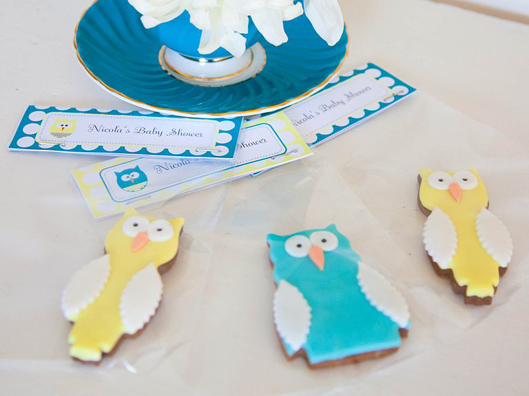 Owl Cookies Owl Cookies