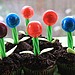 Lollipop Cupcakes