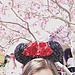 Visit an Amusement Park