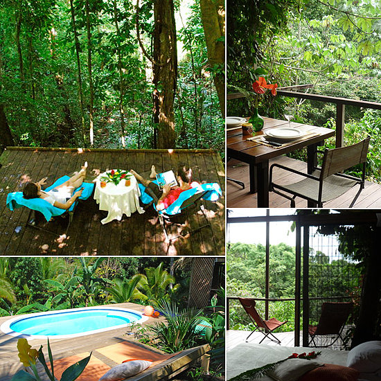 The jungle tree house in Puntarenas, Costa Rica boasts a sleek, tropical design and indulgent amenities. With a pool, a covered porch, a king-size bed, and WiFi, it's the perfect spot for design-savvy travelers hoping for a glimpse of jungle wildlife.
The jungle tree house in Puntarenas, Costa Rica boasts a sleek, tropical design and indulgent amenities. With a pool, a covered porch, a king-size bed, and WiFi, it's the perfect spot for design-savvy travelers hoping for a glimpse of jungle wildlife.