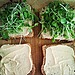 Hummus and Microgreen Toast