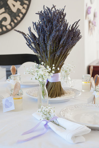 Lovely Lavender Lovely Lavender