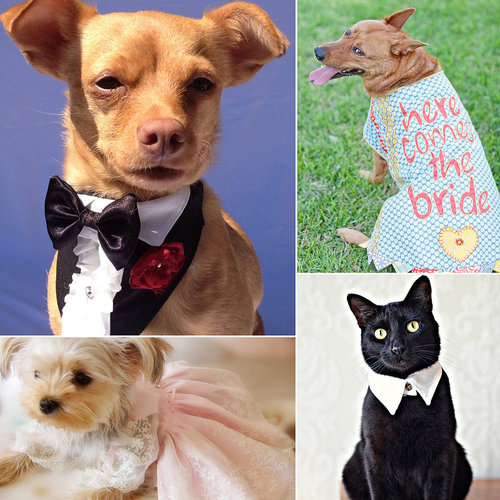 Head over to POPSUGAR Pets to find the perfect little bridesmaid or groomsman outfit for your furry friend and a few ideas for how to include pets in a memorable way on your special day.
Head over to POPSUGAR Pets to find the perfect little bridesmaid or groomsman outfit for your furry friend and a few ideas for how to include pets in a memorable way on your special day.
