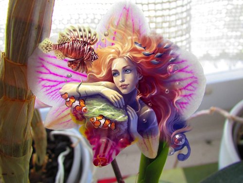 Orchid's Keeper
