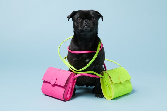 Pepper with Nina Peter's Python Box Bags ($475).
Photo courtesy of Avenue32.
Pepper with Nina Peter's Python Box Bags ($475).
Photo courtesy of Avenue32.